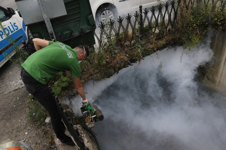 Rize ilaçlamayı üç ayrı ekiple yapıyor -
