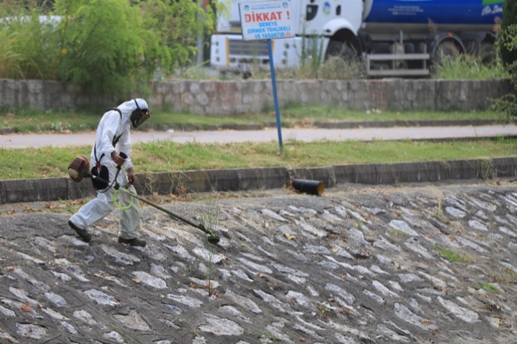 Sakarya Belediyesi Çark Deresi'ni temizledi -