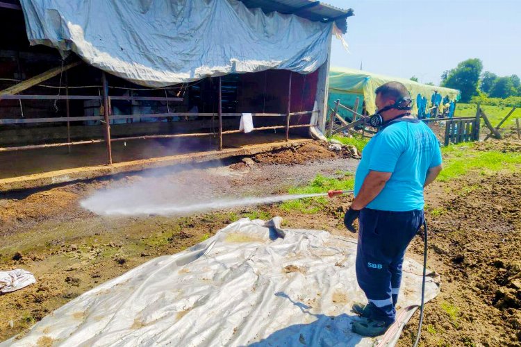 Sakarya'da 16 ilçede vektörle mücadeleye devam -