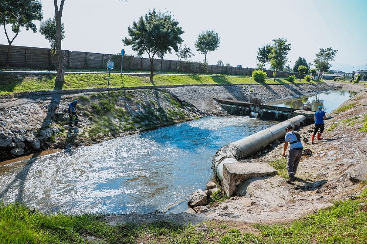 Sakarya'da Çark Deresi’nde hummalı temizlik -