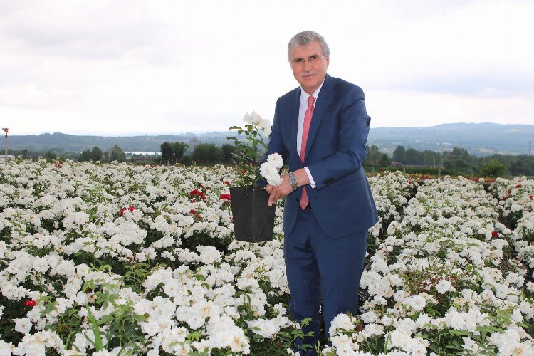 Sakarya'nın bereketi dünya sahnesine taşınıyor -