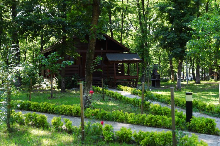 Sakarya'nın oksijen deposuna ziyaretçi akını -