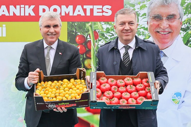 Sakarya serasından 'mükemmel' ürünler -