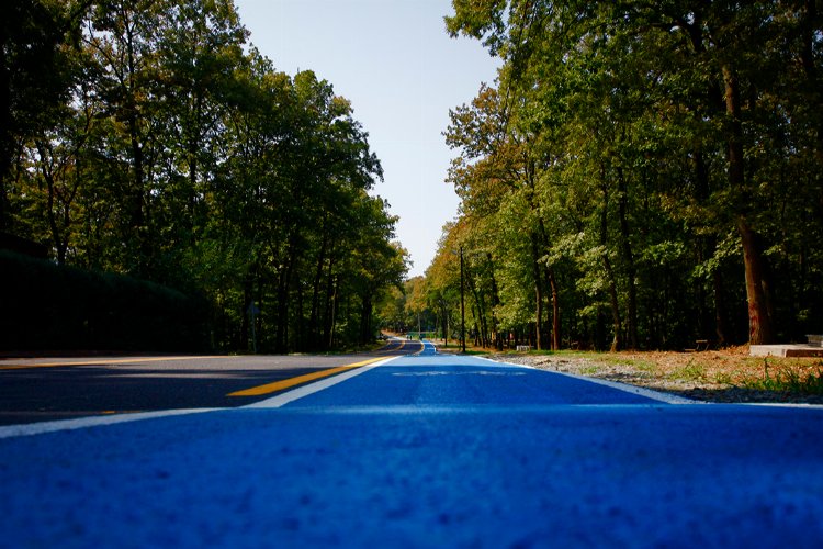 Sakarya’ya 22 kilometre daha bisiklet yolu geliyor -