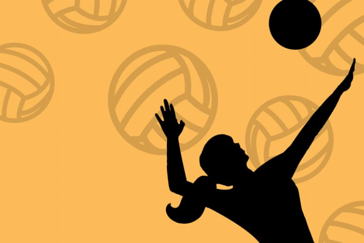 Şampiyonluk voleybol taleplerini arttırdı! -