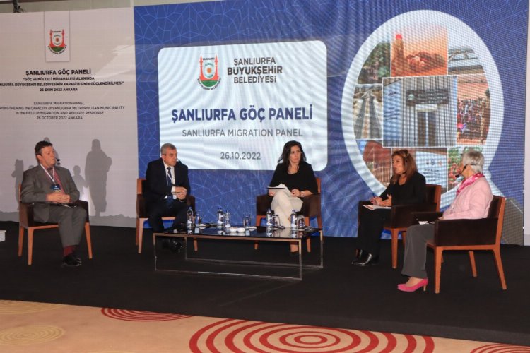 Şanlıurfa'da göç Ankara’da masaya yatırıldı -
