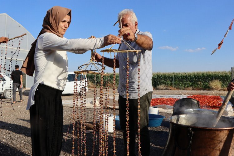 Şanlıurfa'da kadından üretime büyük katkı -