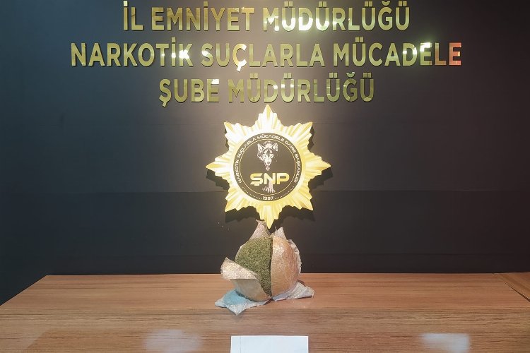 Şanlıurfa'da narkotik ekipleri şüpheli yolcuyu gözaltına aldı -