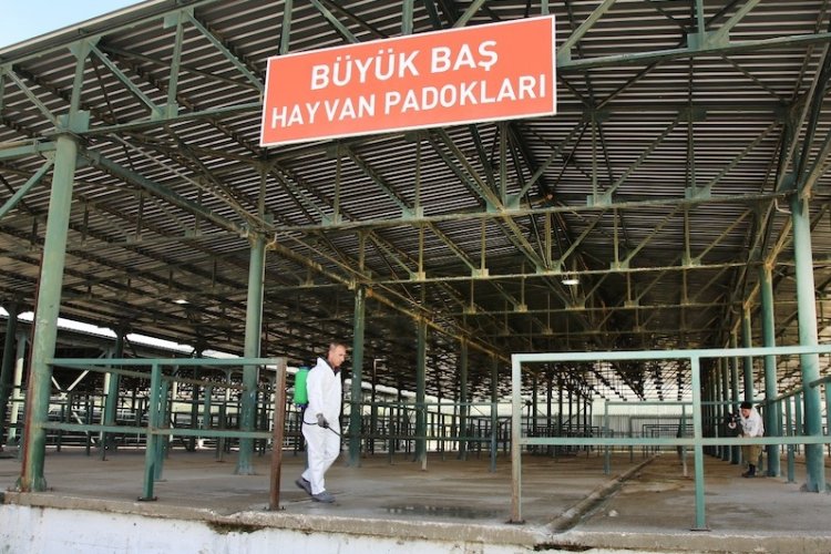 Şap tehlikesi geçti, hayvan pazarları açılıyor -