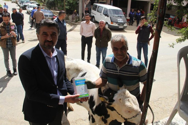 Sarıgöllü hayvan üreticilerine antiparaziter preparat desteği -