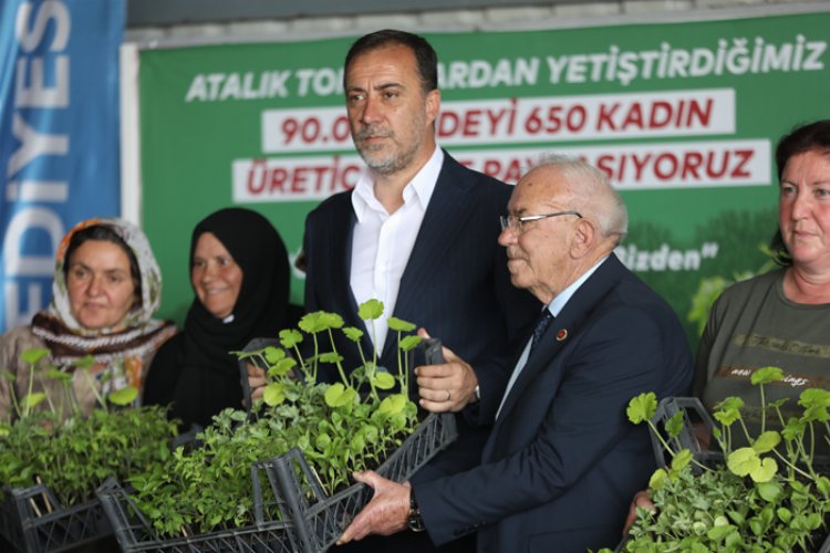 Silivri atalık tohumlardan yetiştirilen binlerce fide dağıttı -