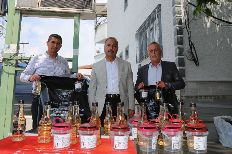 Sirke sineğine karşı Bursa'da tuzak dağıtımları sürüyor -