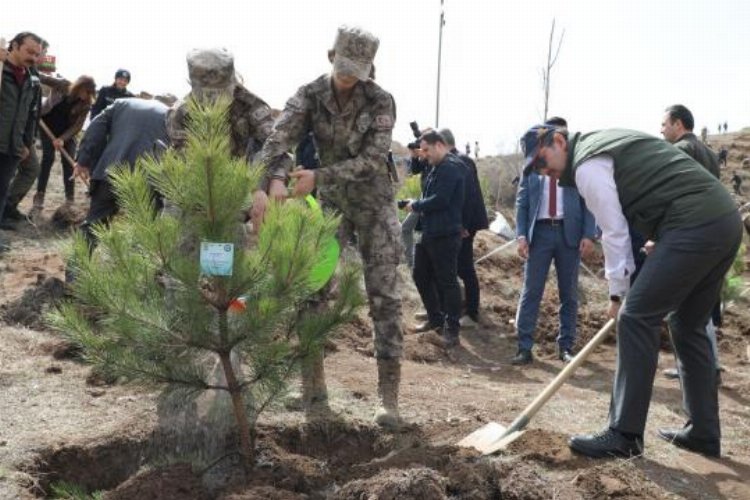 Sivas'ta 'Polis Hatıra Ormanı' oluşturuldu -