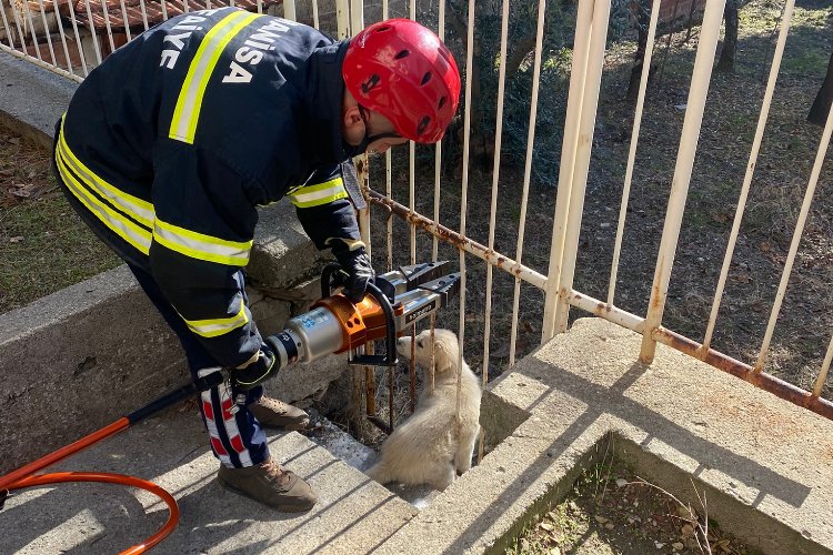 Sıkışan köpeğin imdadına itfaiye yetişti -