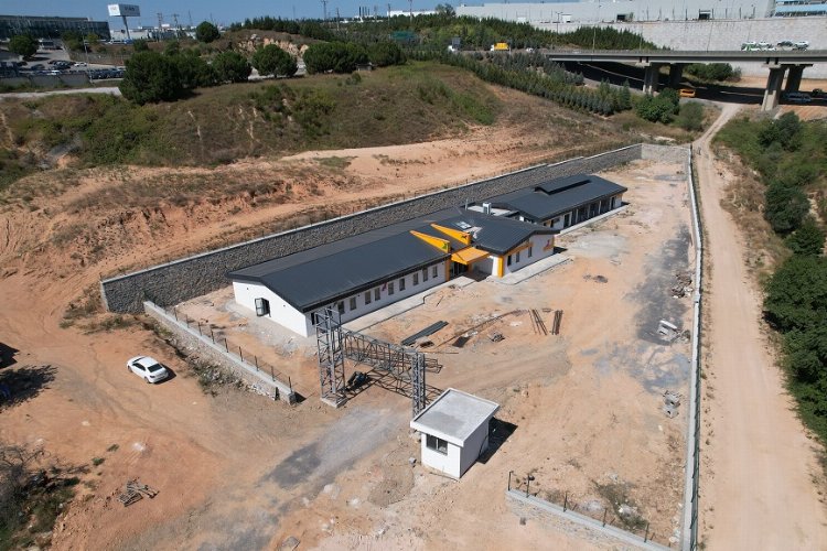 Sokak hayvanları için rehabilitasyonda sona doğru -