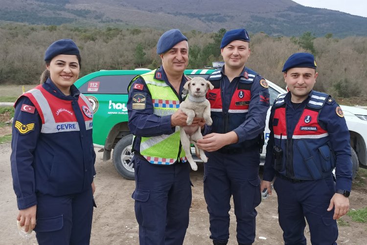 Sokak hayvanlarına Jandarma şefkati -