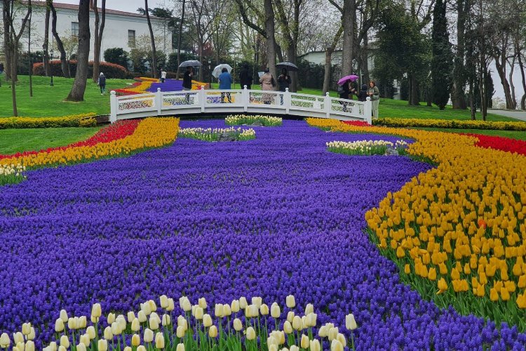 İstanbul'da Lale Bayramı coşkuyla kutlanacak -