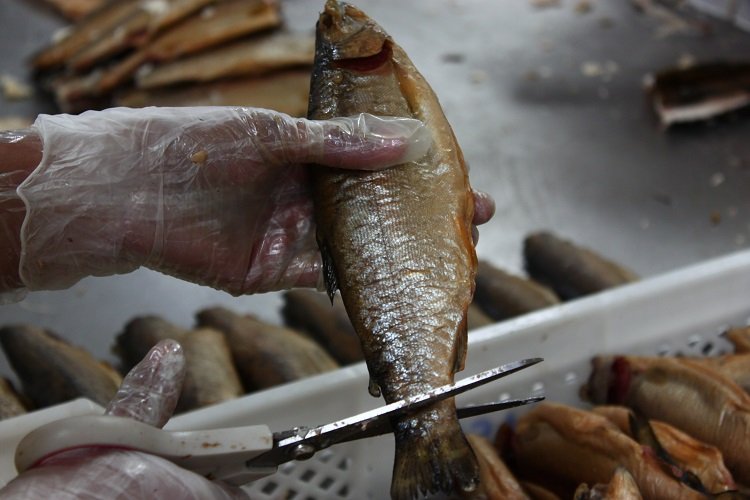 Su ürünlerinin zirvesinde Muğla ve İzmir var -