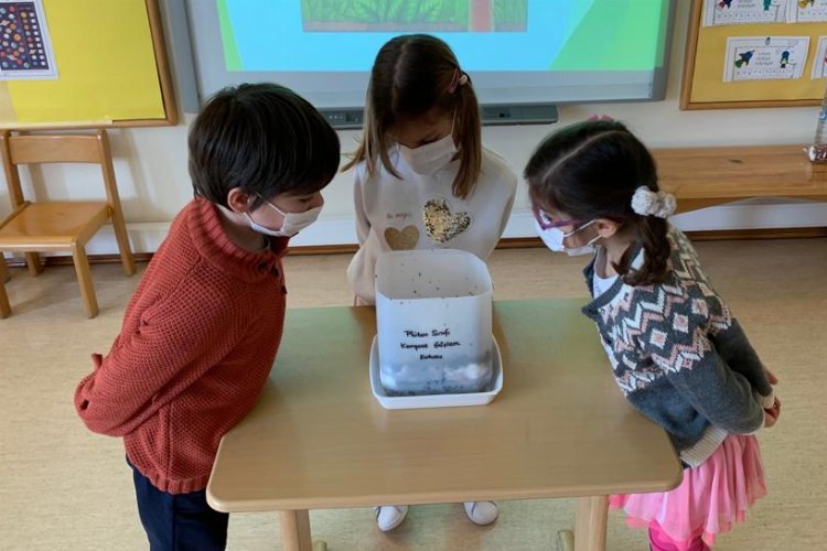 İTÜ'nün 'Canlı Ansiklopedim'ne 'kalite' etiketi -