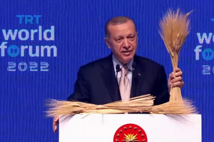 Tahıl krizi için Putin'le görüşülecek -