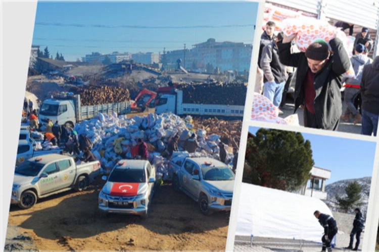 Tarım ve Orman Bakanlığı, depremin yaralarını sarıyor -