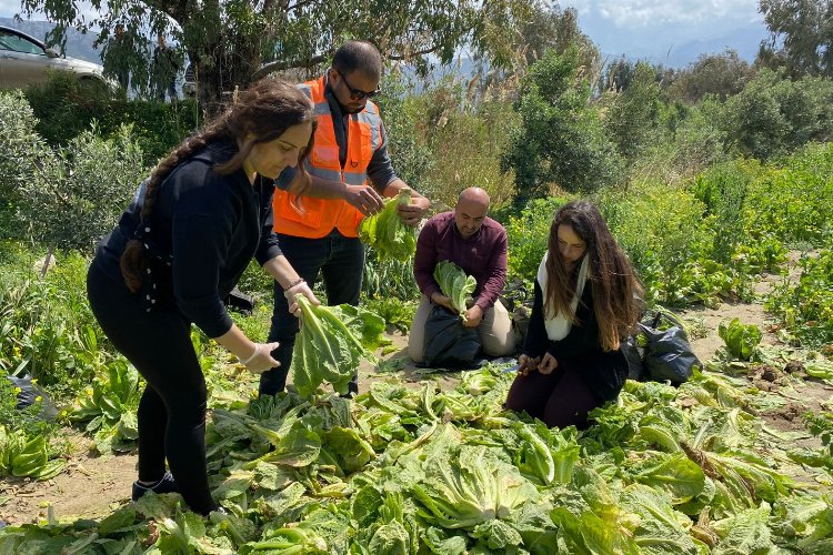 'Tarıma destek ol Hatay' hayata geçirildi -