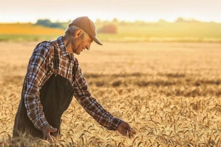 Tarımsal Girdi Fiyat Endeksi açıklandı -