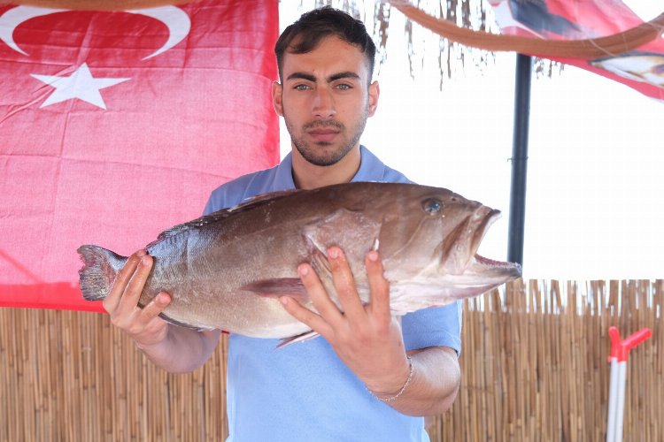 Taze balık mezattan sofraya -