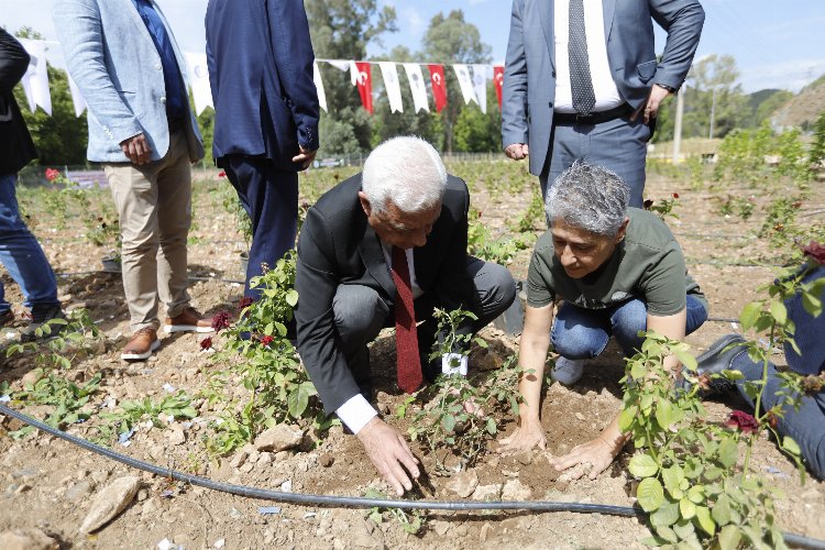 Tıbbi Bitkiler Koleksiyon Bahçesi hizmete açıldı -