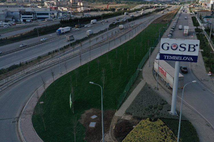 TEM'in Gebze güzergâhında yeşil seferberlik -