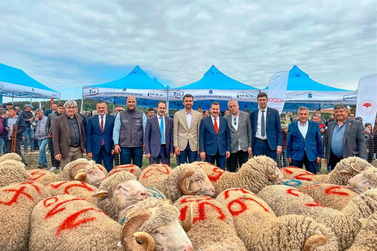 Tescilli Balıkesir Kuzusu'na destek -