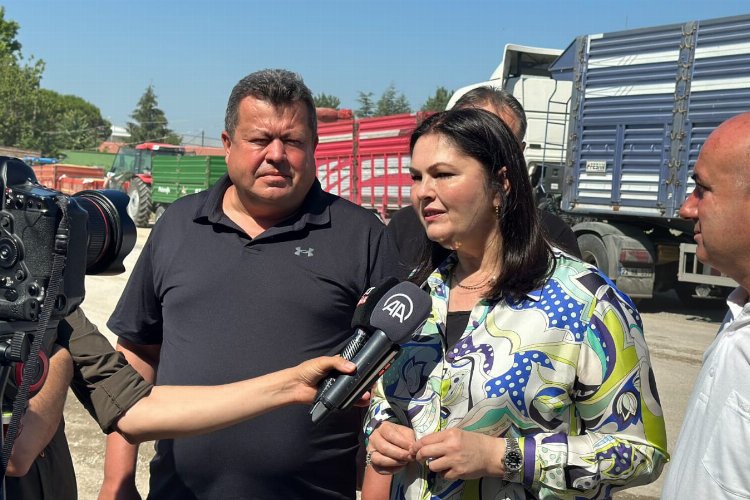 TMO Edirne'ye yeni alım noktası açacak -
