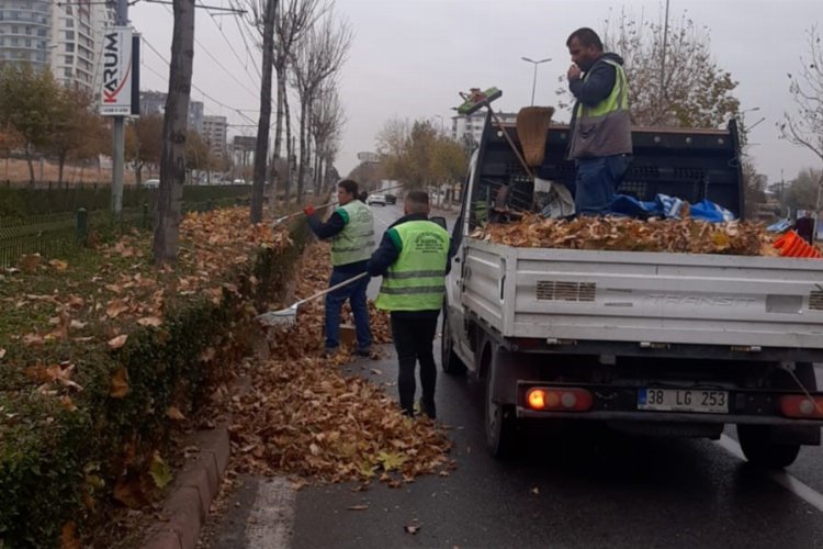 Toplanan gazel gübreye dönüşüyor -