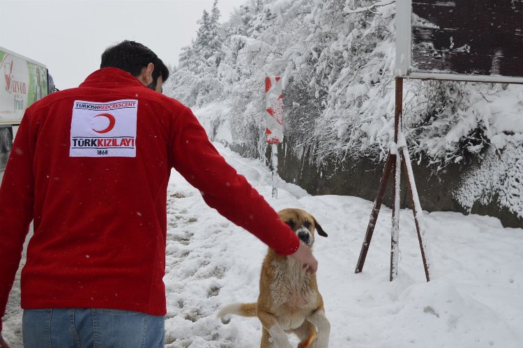 Türk Kızılayı Bursa'da gönülleri ısıtıyor -