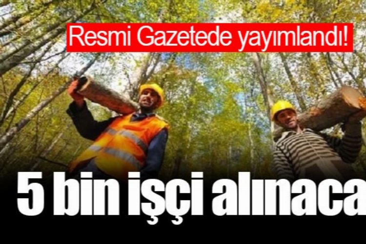 Türkiye geneli, 5 bin yangın işçisi alınacak! -