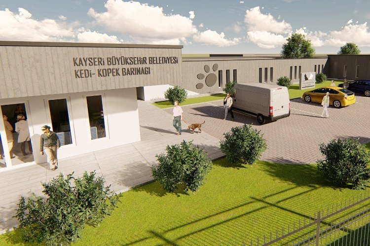 Türkiye'nin en modern hayvan barınağı Kayseri'ye yapılıyor -