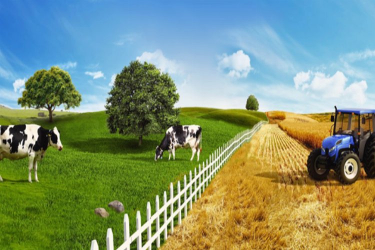 Türkiye tarım ve hayvancılıkta nereye gidiyor? Felaket kapıda mı? -