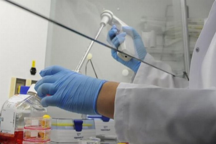 TÜİK açıkladı... Merkezi bütçeden Ar-Ge'ye 20,2 milyar lira -