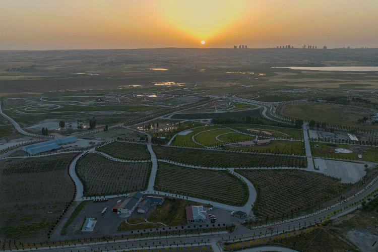 Türkiye’nin en büyük tarım kampüsü -