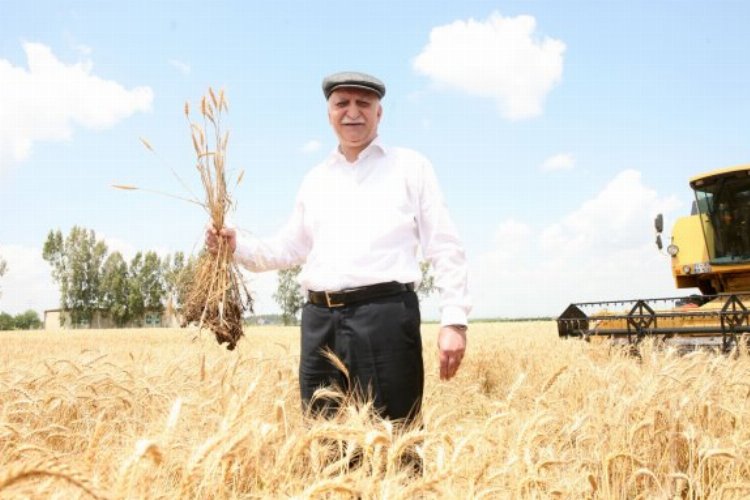 Türkiye tarımsal üretimde ilk 4'te -