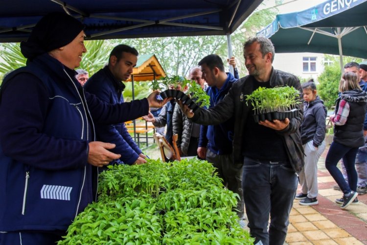 Ücretsiz fideyi alan tarlaya koştu -