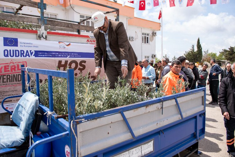 Üreticilere zeytin fidanı desteği -