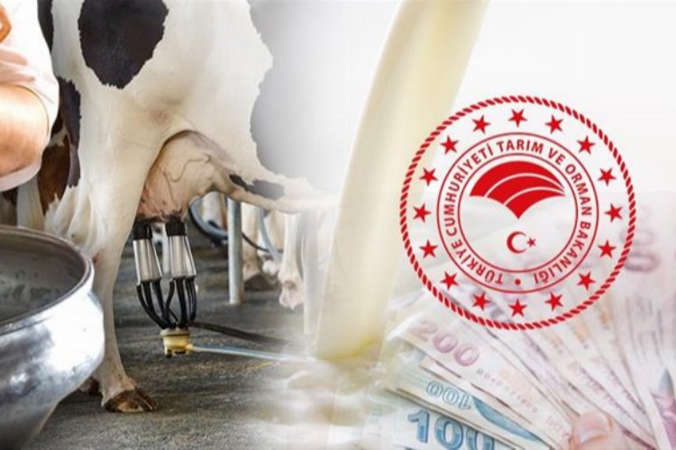 Üreticiye 38,3 milyon TL bugün hesaplarda -