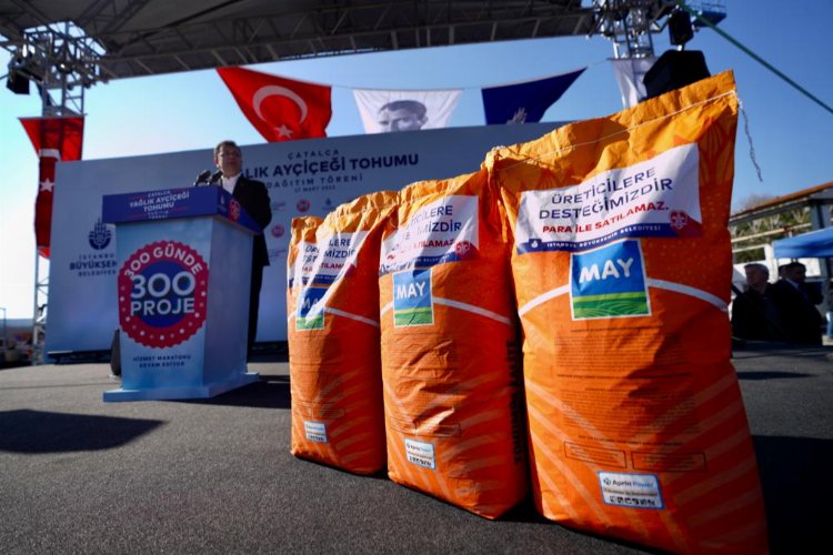 Üreticiye yağlık ayçiçeği tohumu -