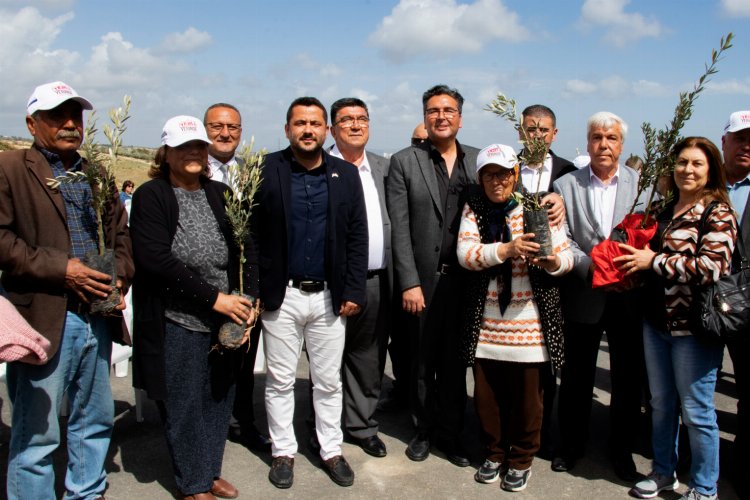 Üreticiye zeytin fidanı desteği -