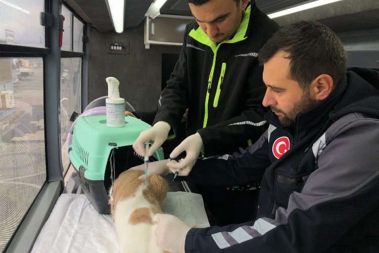 VETBÜS yola Savaştepe'den başladı -
