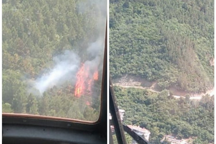 Yalova Çınarcık'taki orman yangını korkuttu -