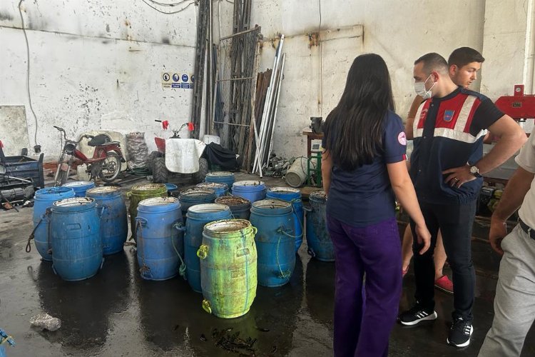 Yasadışı yollarla avlanan deniz patlıcanları denize salındı -