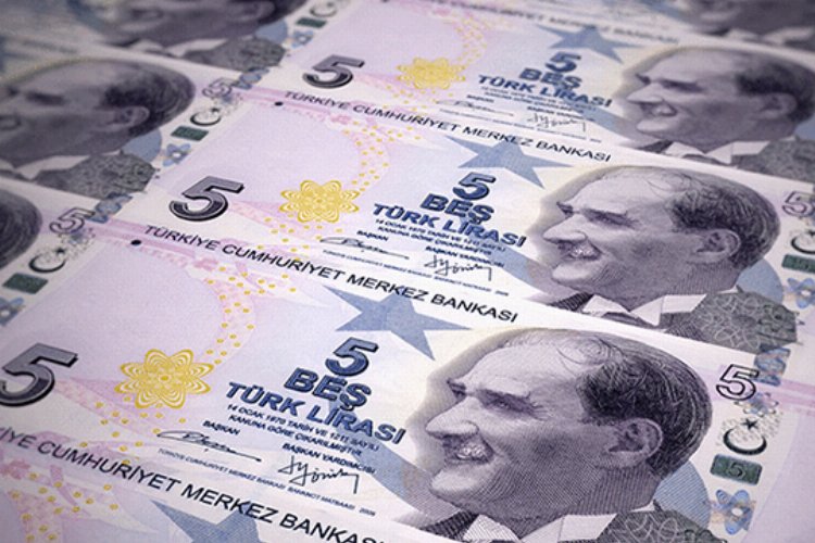 Yeni 5 TL'lik banknotlar tedavüle girdi -