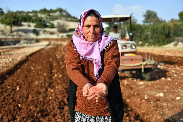 Yerel buğday gelecek nesillere aktarılıyor -